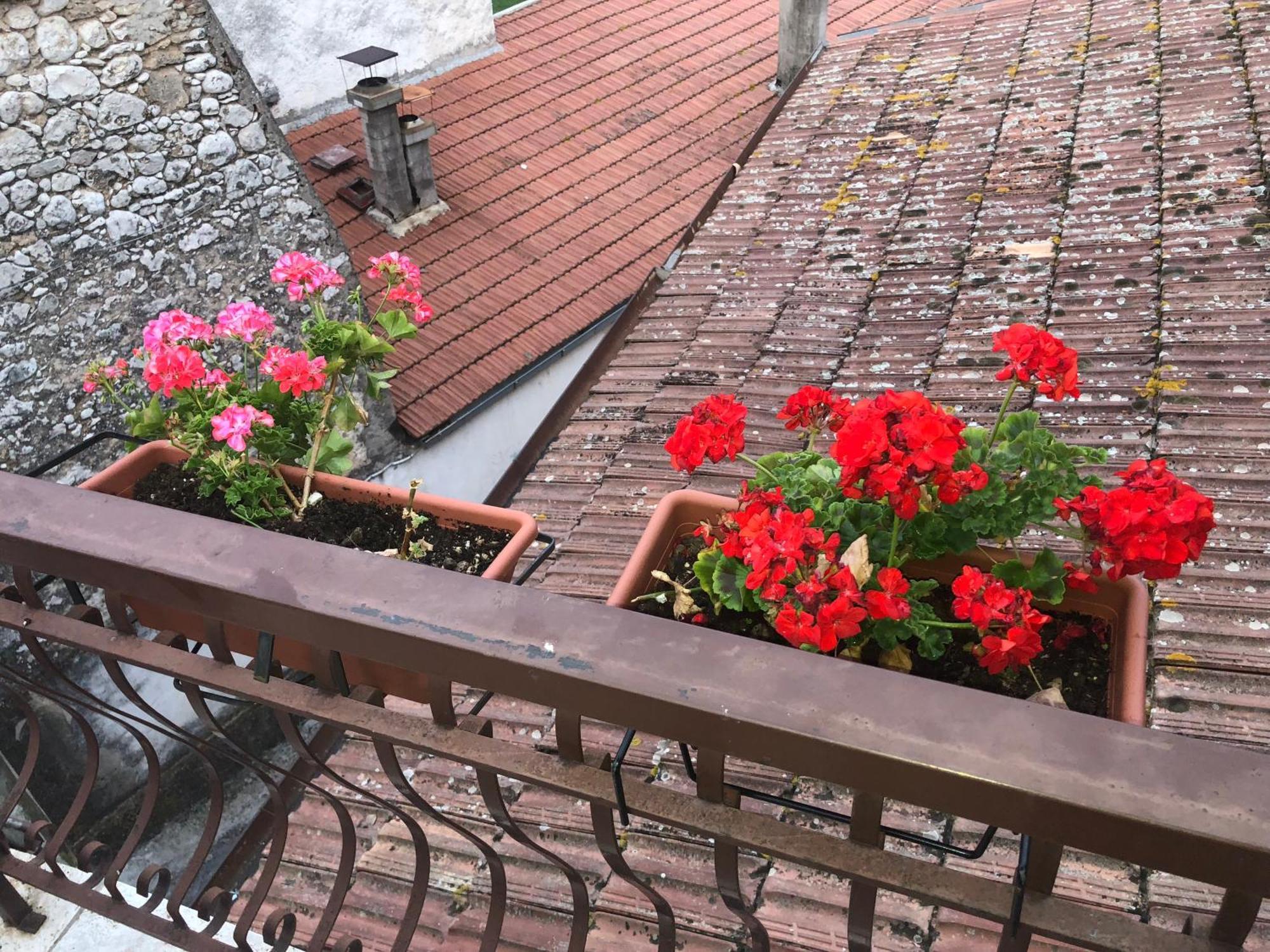Bed And Breakfast Il Cavaliere Pozzilli Екстериор снимка